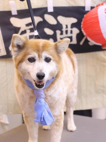 20240604ボニーちゃん